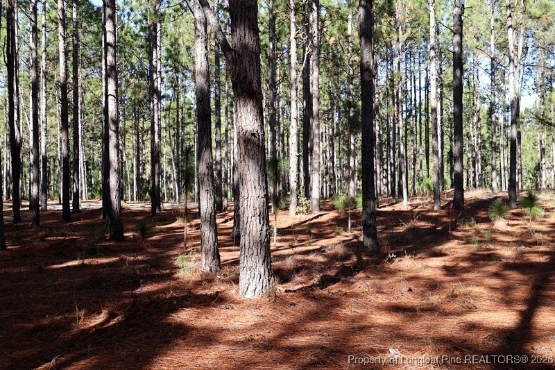 Stuarts Mill Road Rowland, NC 28383 - Photo 3 of 15