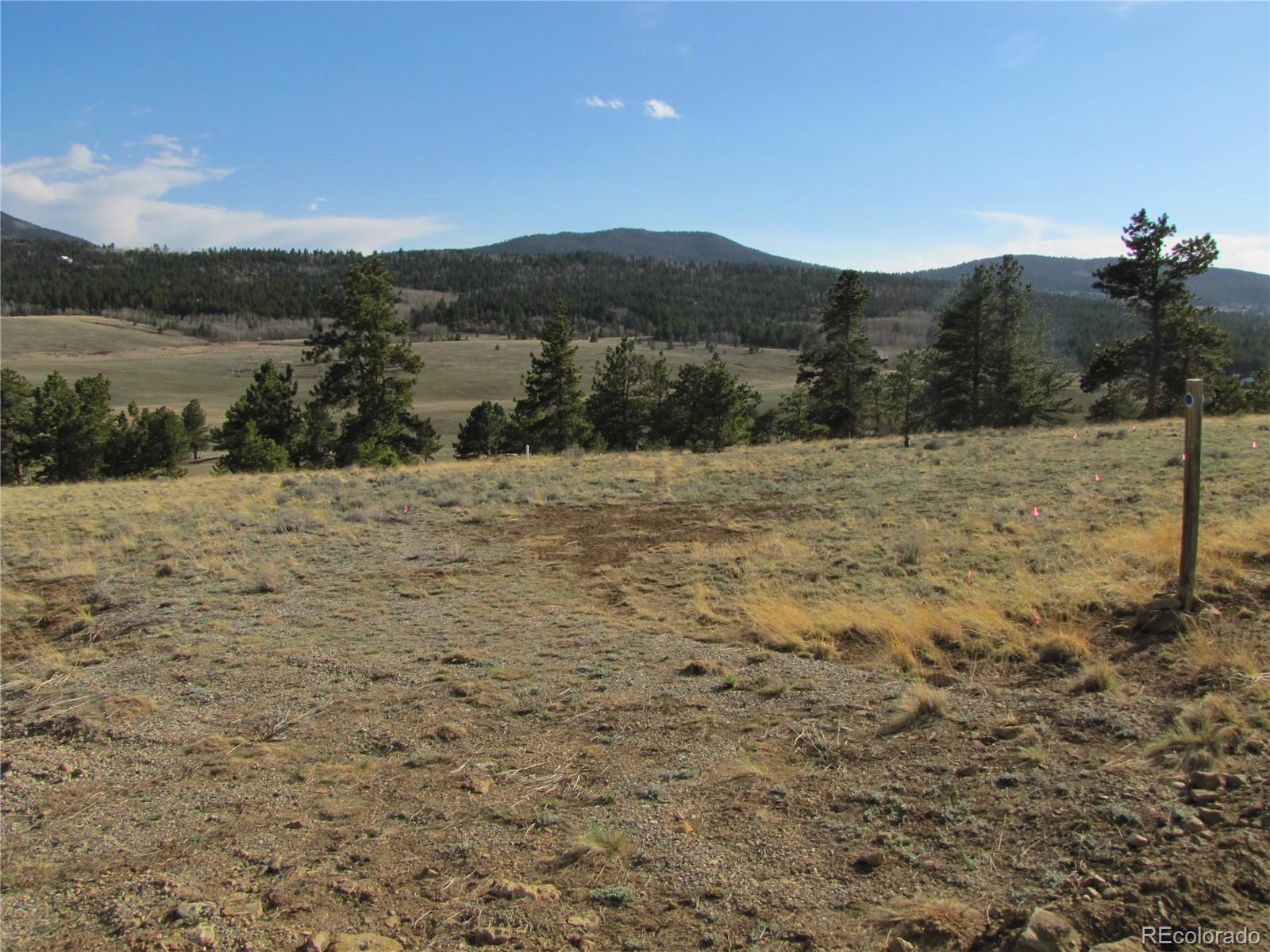391 Wagon Wheel Road Hartsel, CO 80449 - Photo 1 of 12 Gallery Image 1