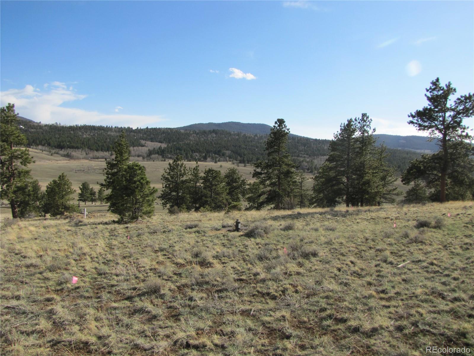 391 Wagon Wheel Road Hartsel, CO 80449 - Photo 4 of 12 Gallery Image 4