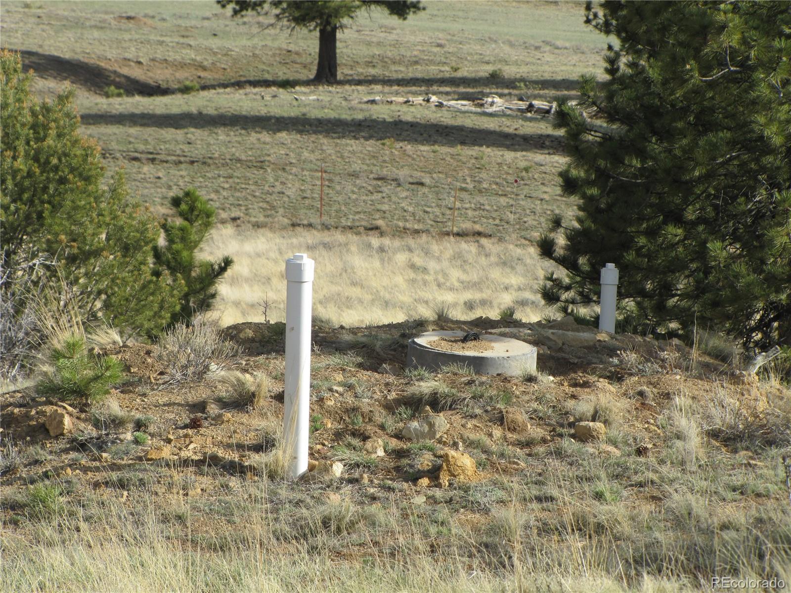 391 Wagon Wheel Road Hartsel, CO 80449 - Photo 7 of 12 Gallery Image 7
