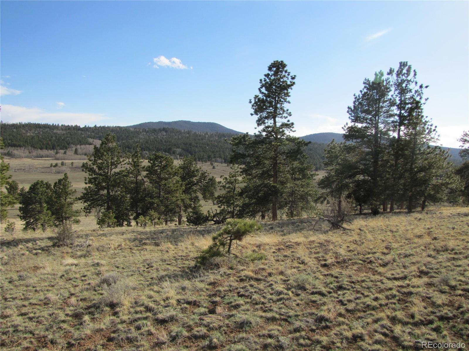 391 Wagon Wheel Road Hartsel, CO 80449 - Photo 10 of 12 Gallery Image 10