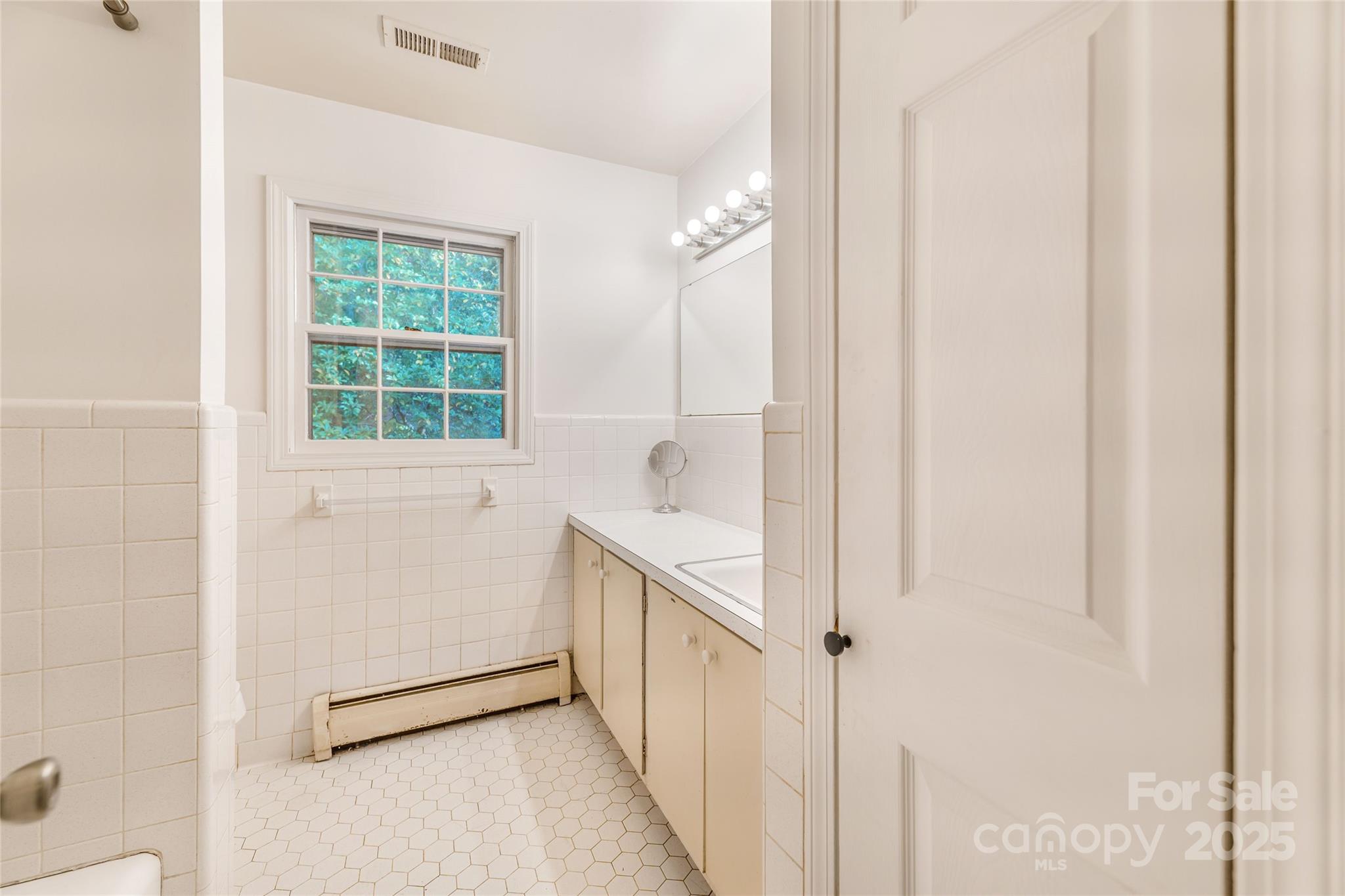 679 Solomon Jones Road Cedar Mountain, NC 28718 - Photo 33 of 47 a bathroom with a sink and a mirror