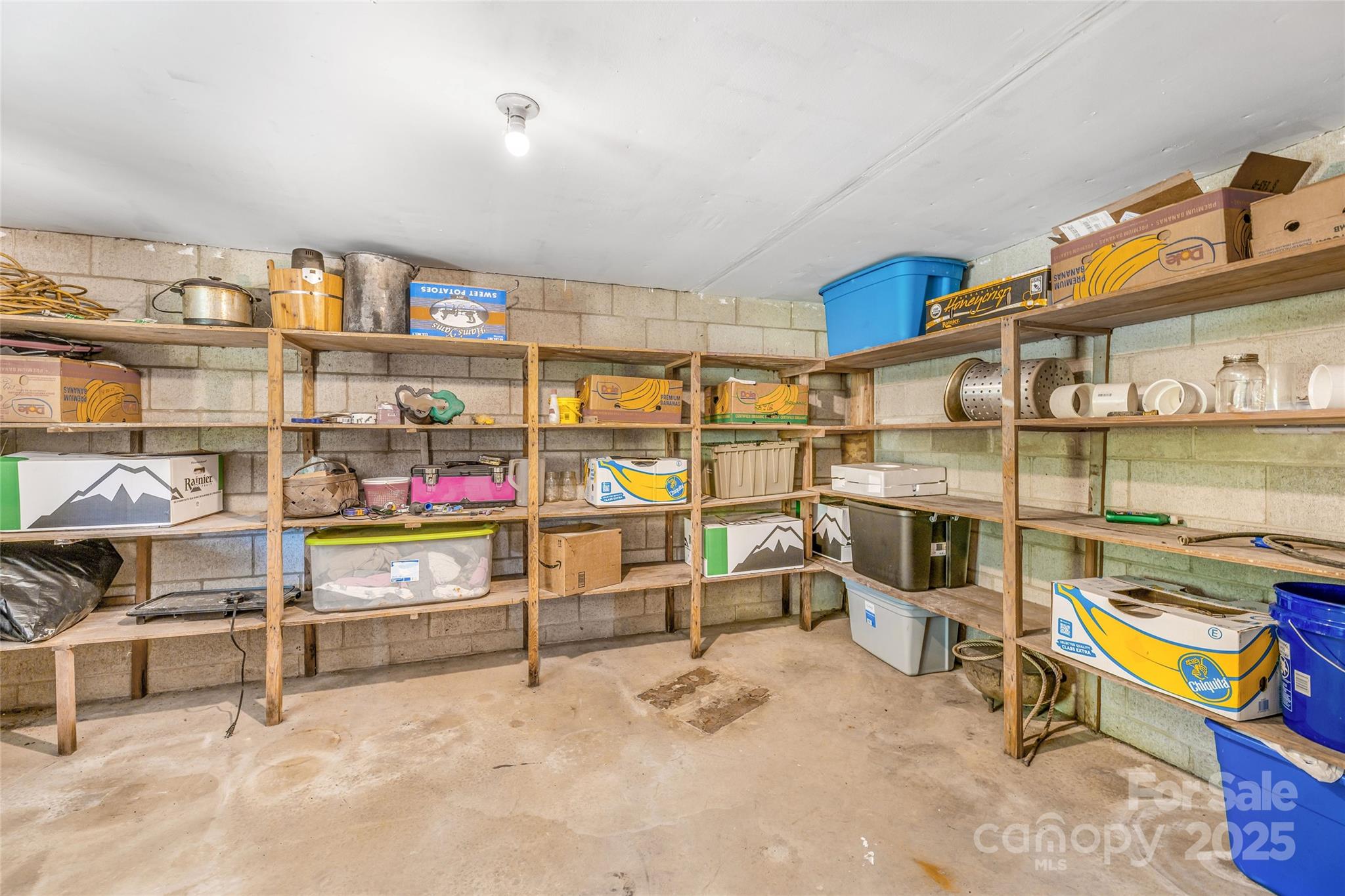 679 Solomon Jones Road Cedar Mountain, NC 28718 - Photo 41 of 47 a view of storage and utility room