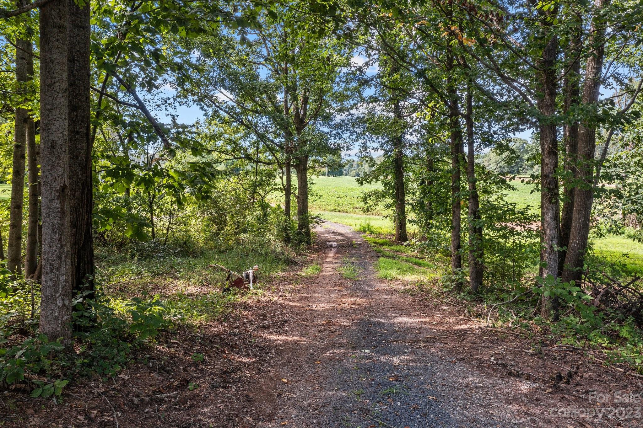 1246 Lambert Road Hiddenite, NC 28636 - Photo 4 of 22 a view of outdoor space and trees