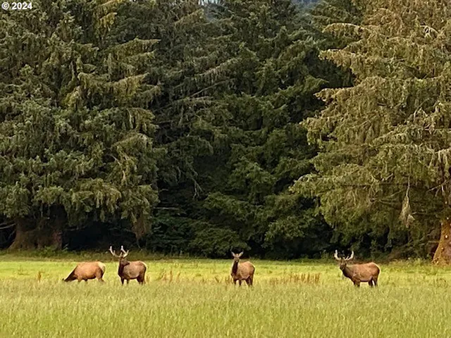 $1,980,000 | 17805 Highway 101 South, Tillamook, OR 97141