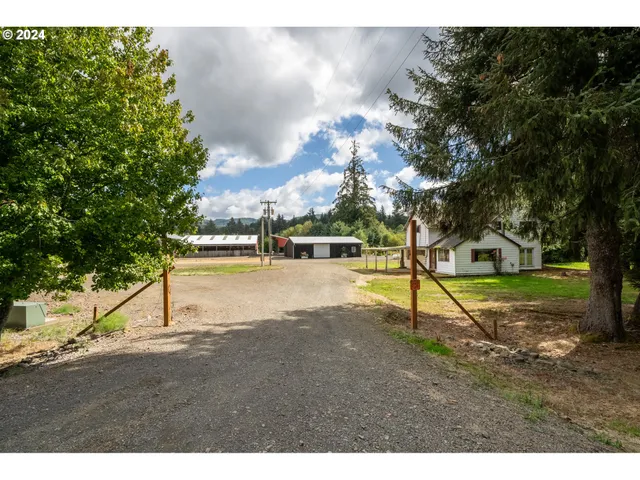 a view of a park with large trees