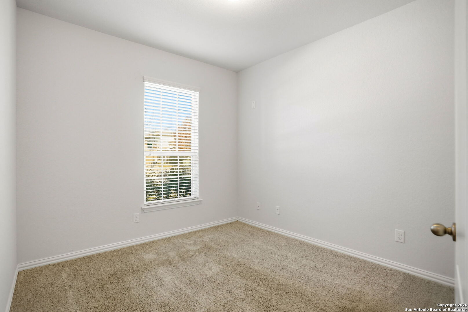 8244 Breezy Cove Selma, TX 78154 - Photo 17 of 25