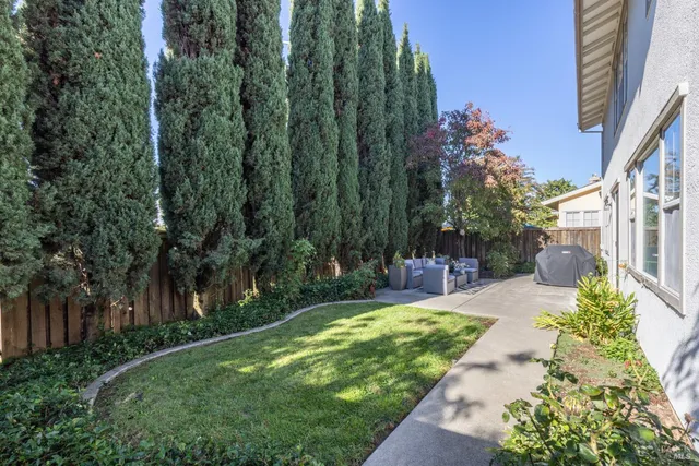 a view of a backyard with plants and large trees