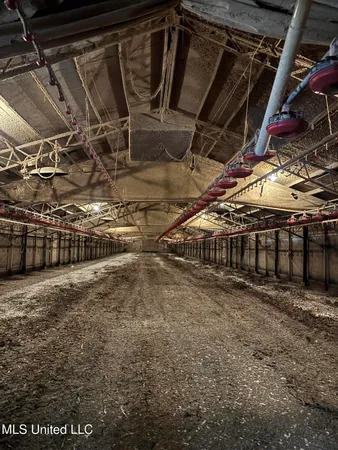 $900,000 | 2520 Plum Trail Southwest, Smithdale, MS 39664