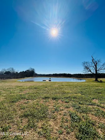 $900,000 | 2520 Plum Trail Southwest, Smithdale, MS 39664