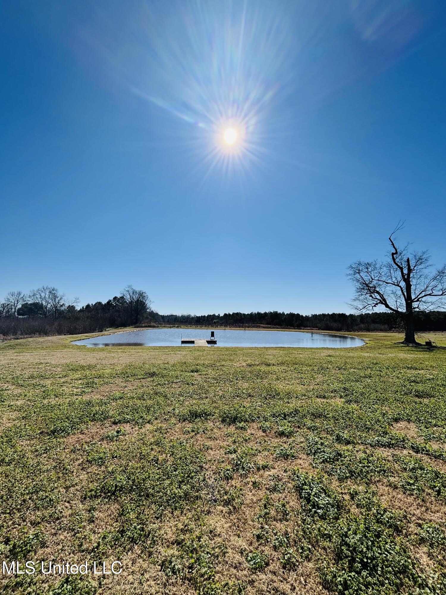 2520 Plum Trail Southwest Smithdale, MS 39664 - Photo 23 of 47 PlumbPond2