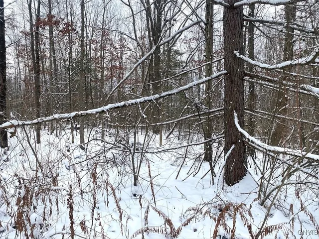 $169,900 | River Road, Belmont, NY 14813