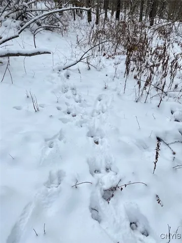 $169,900 | River Road, Belmont, NY 14813