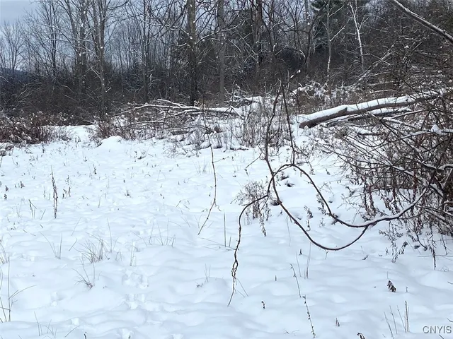 $169,900 | River Road, Belmont, NY 14813