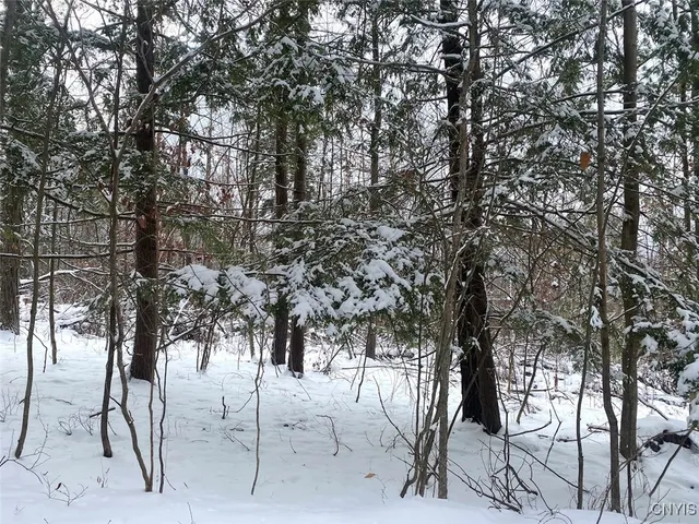 $169,900 | River Road, Belmont, NY 14813