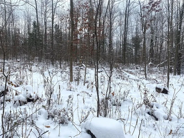 $169,900 | River Road, Belmont, NY 14813