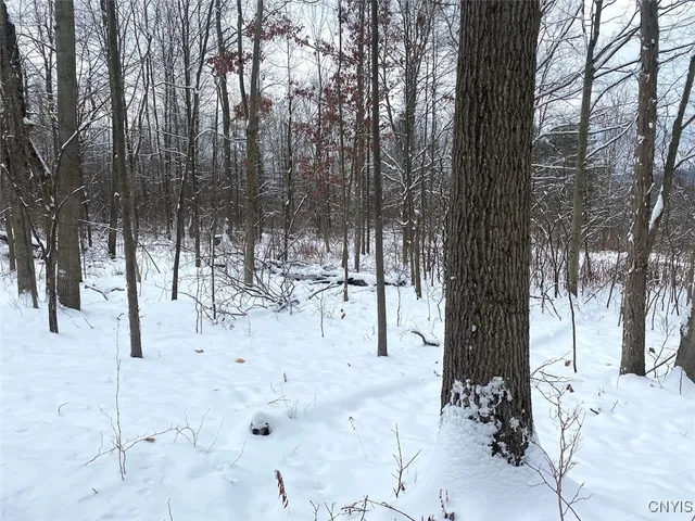 $169,900 | River Road, Belmont, NY 14813