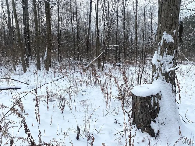 $169,900 | River Road, Belmont, NY 14813