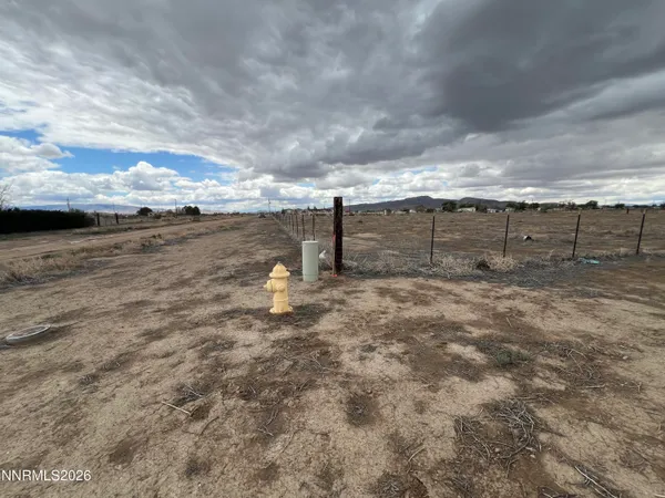 a view of a dry yard