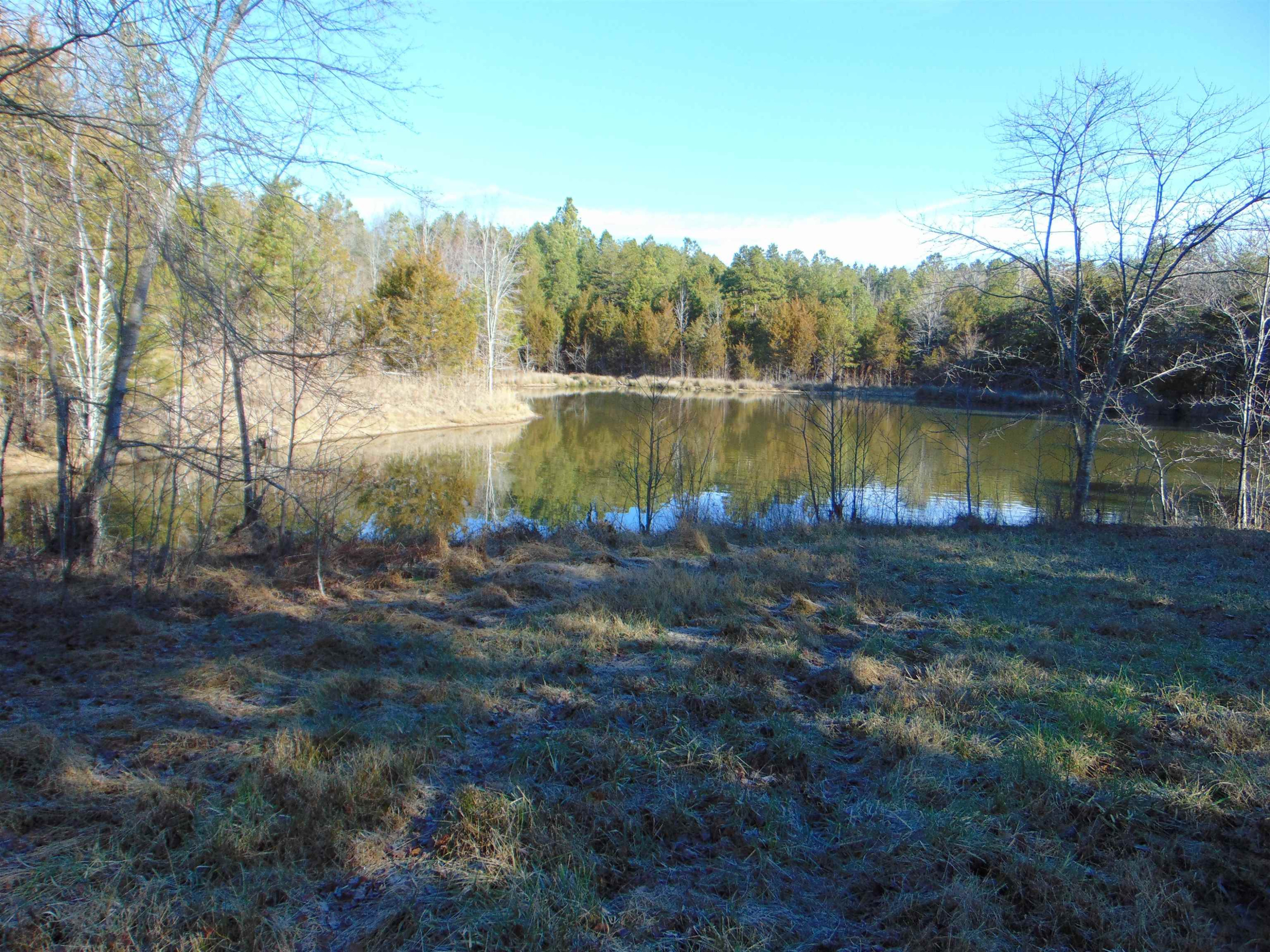 Carver Road Prospect Hill, NC 27314 - Photo 18 of 20 Photo 19