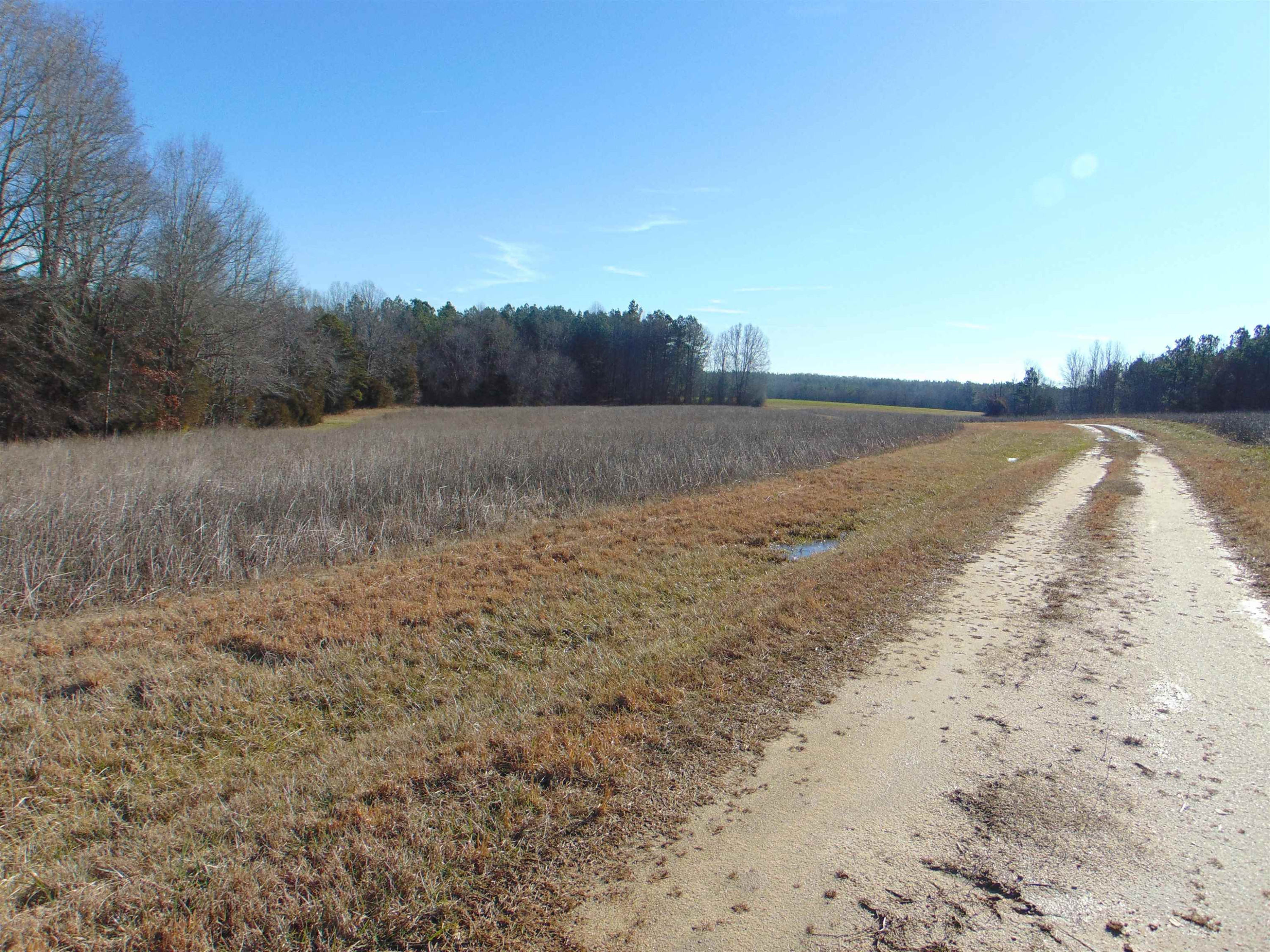 Carver Road Prospect Hill, NC 27314 - Photo 20 of 20 Photo 21