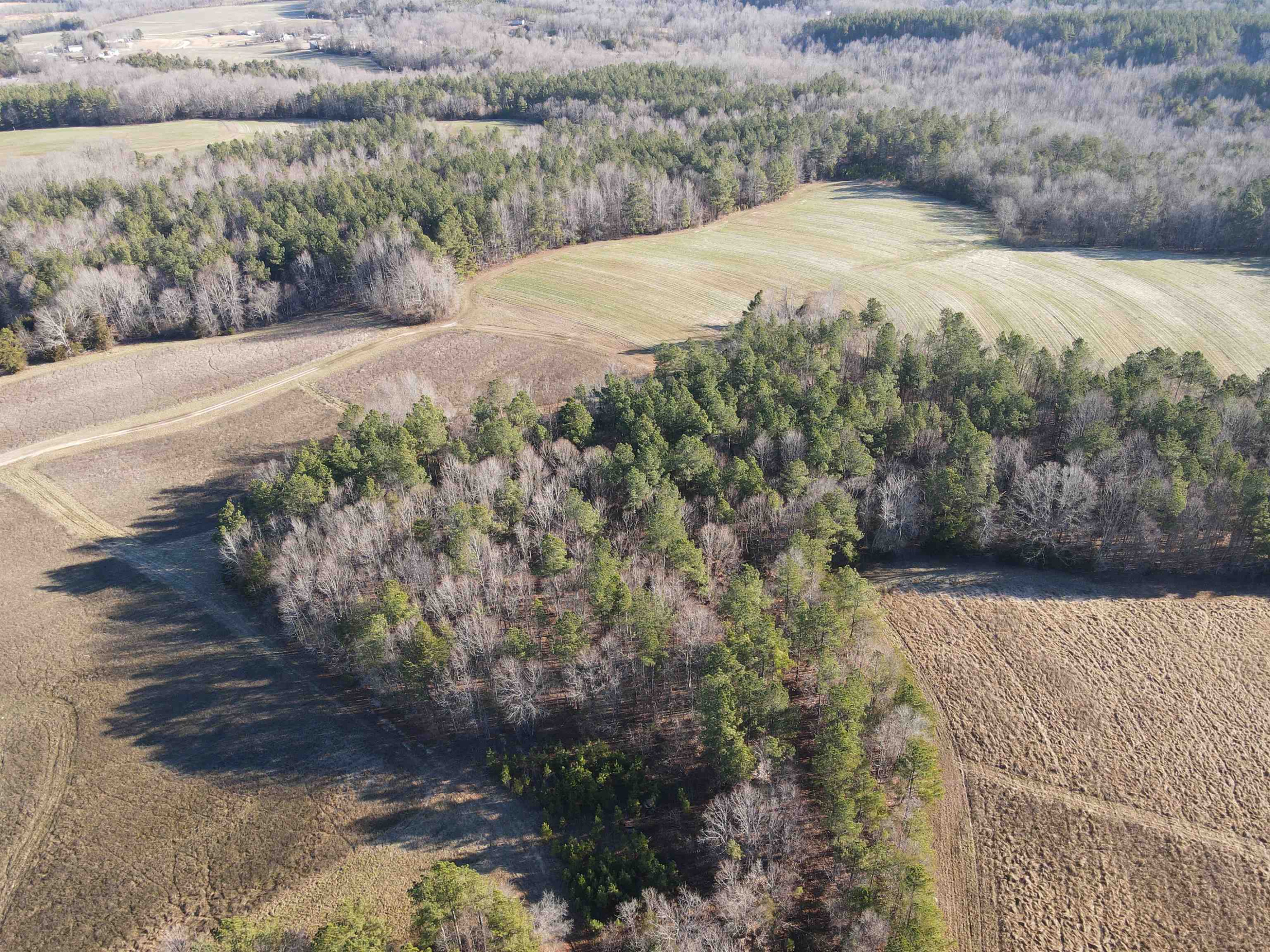 Carver Road Prospect Hill, NC 27314 - Photo 5 of 20 Photo 5