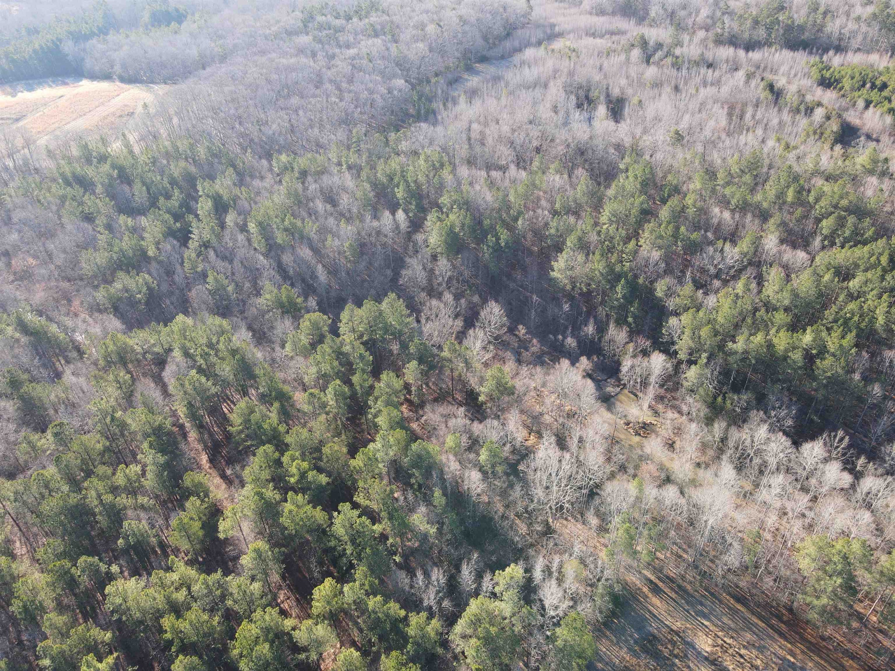 Carver Road Prospect Hill, NC 27314 - Photo 6 of 20 Photo 6