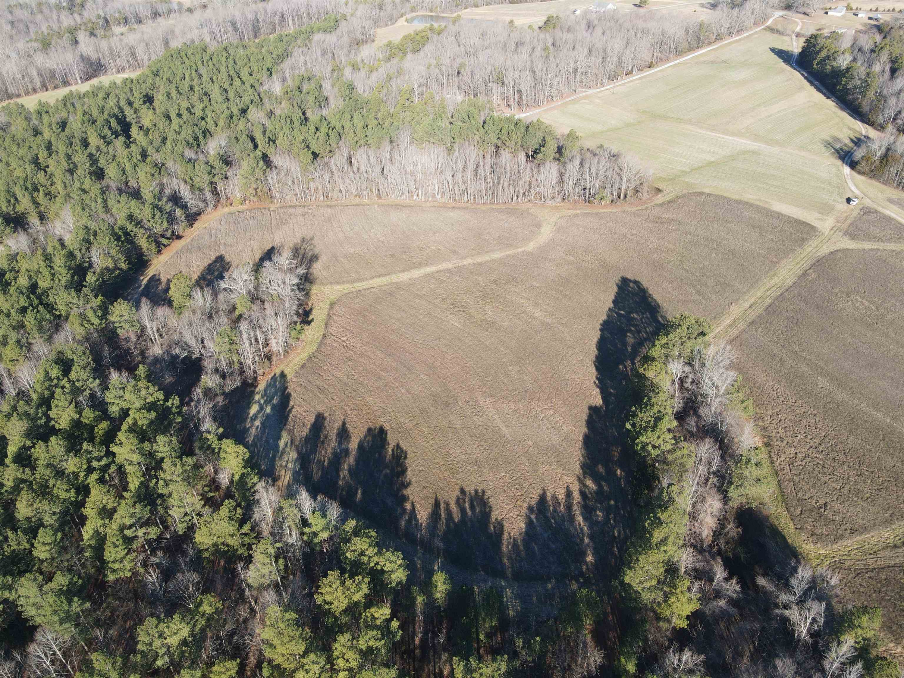 Carver Road Prospect Hill, NC 27314 - Photo 7 of 20 Photo 7