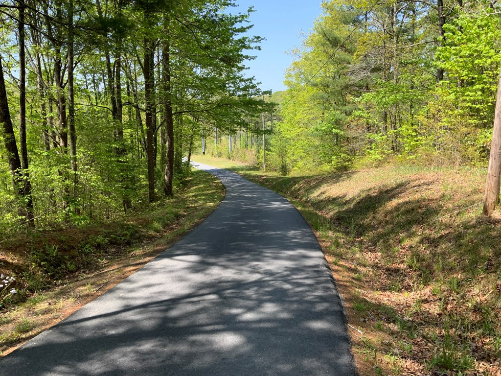 Lot 22 Ridgewood Drive Murphy, NC 28906 - Photo 12 of 21 Gallery Image 12