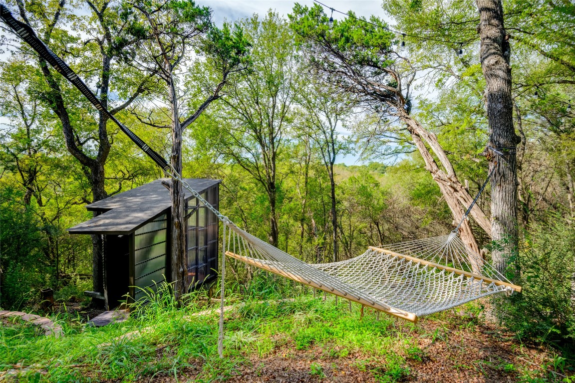 5323 Downs Drive Austin, TX 78721 - Photo 21 of 23 a view of a garden with plants and large trees