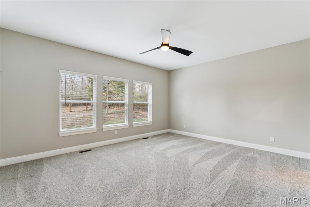 619 North Ethlyn Road Winfield, MO 63389 - Photo 23 of 40