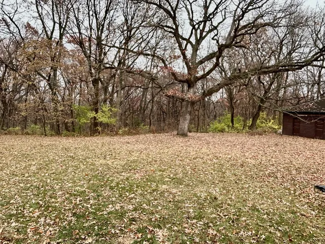a view of yard covered with snow