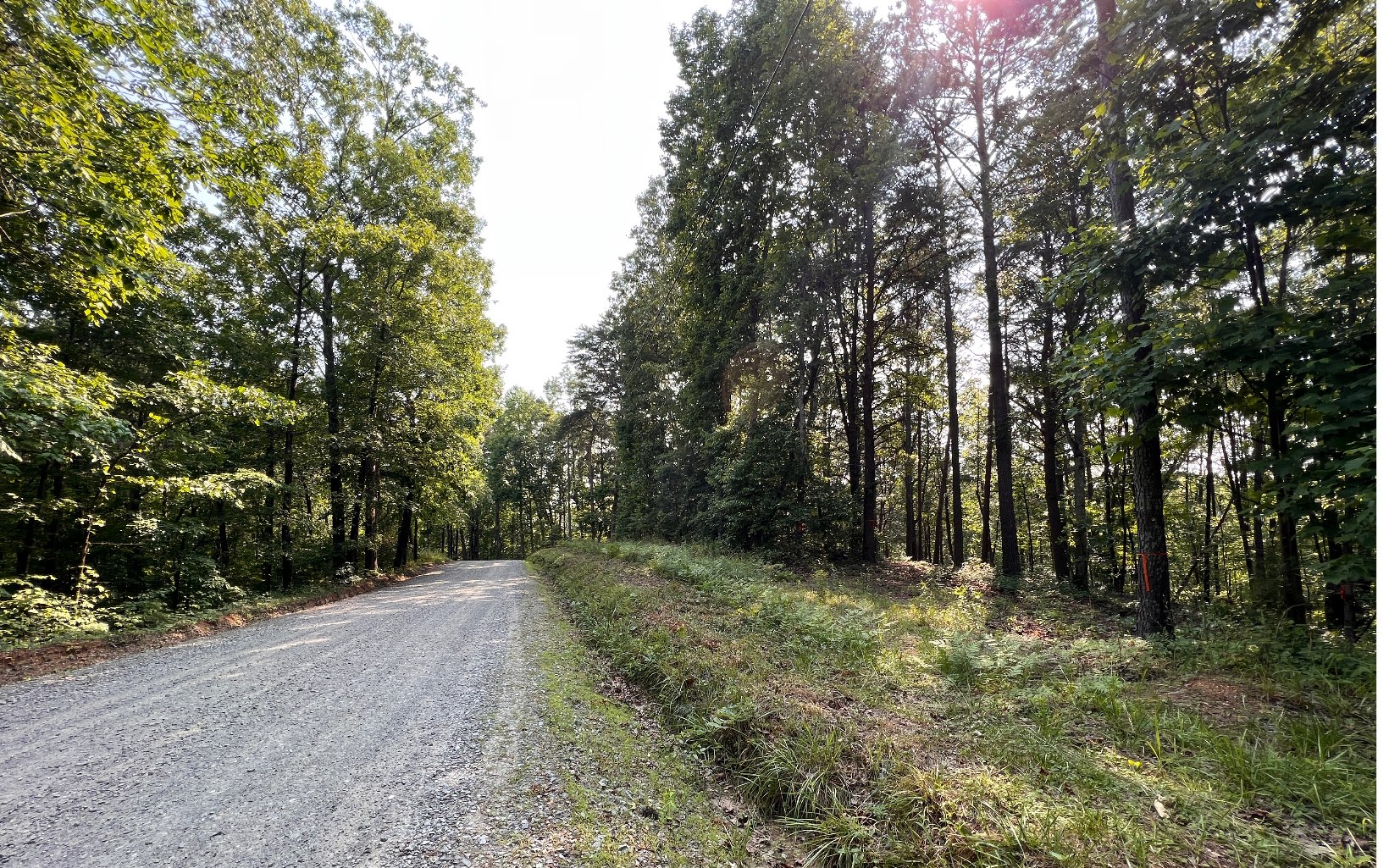 2 Raven Cliff Road Talking Rock, GA 30175 - Photo 1 of 15 Main View