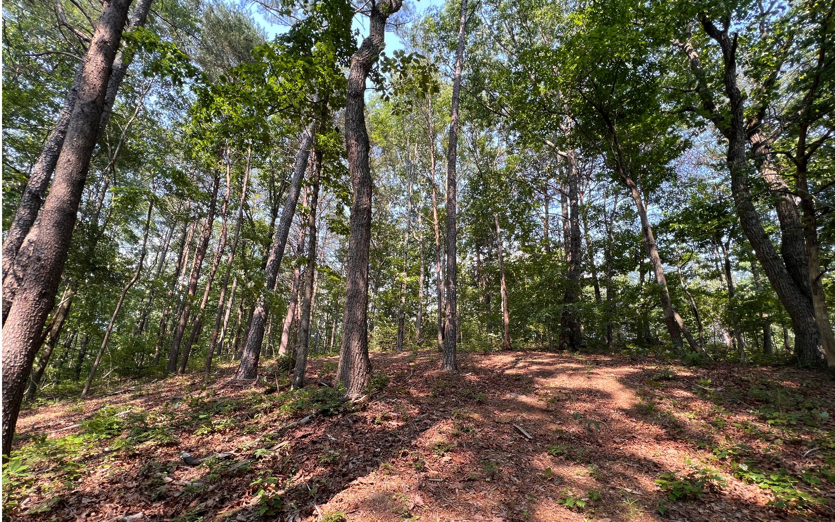 2 Raven Cliff Road Talking Rock, GA 30175 - Photo 11 of 15 Additional View