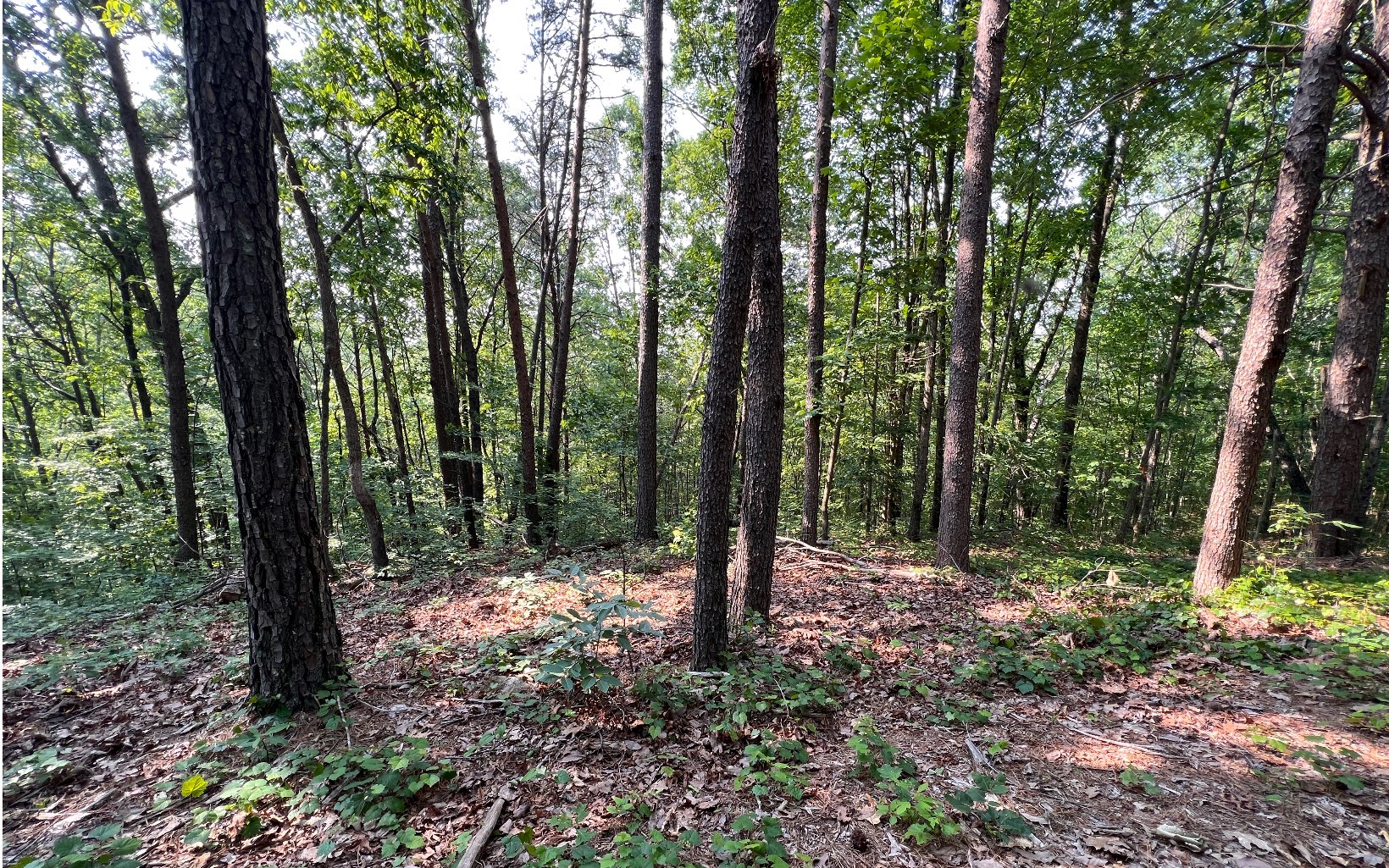 2 Raven Cliff Road Talking Rock, GA 30175 - Photo 12 of 15 Additional View