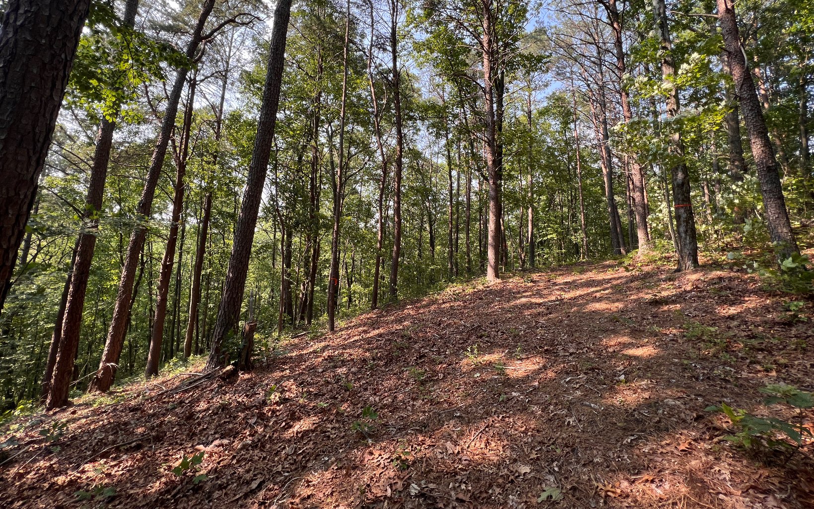 2 Raven Cliff Road Talking Rock, GA 30175 - Photo 14 of 15 Additional View