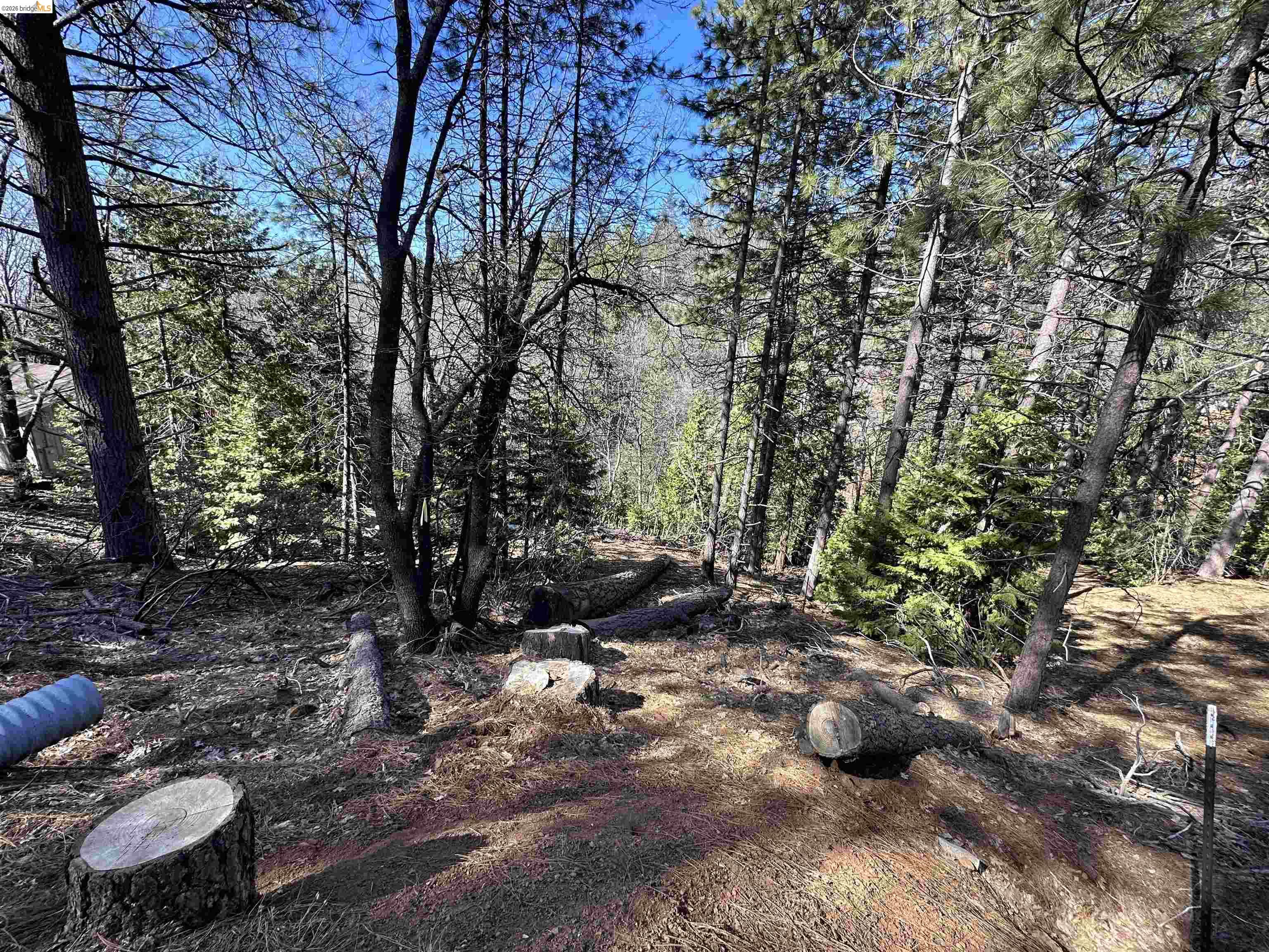 a view of an outdoor space with sitting area