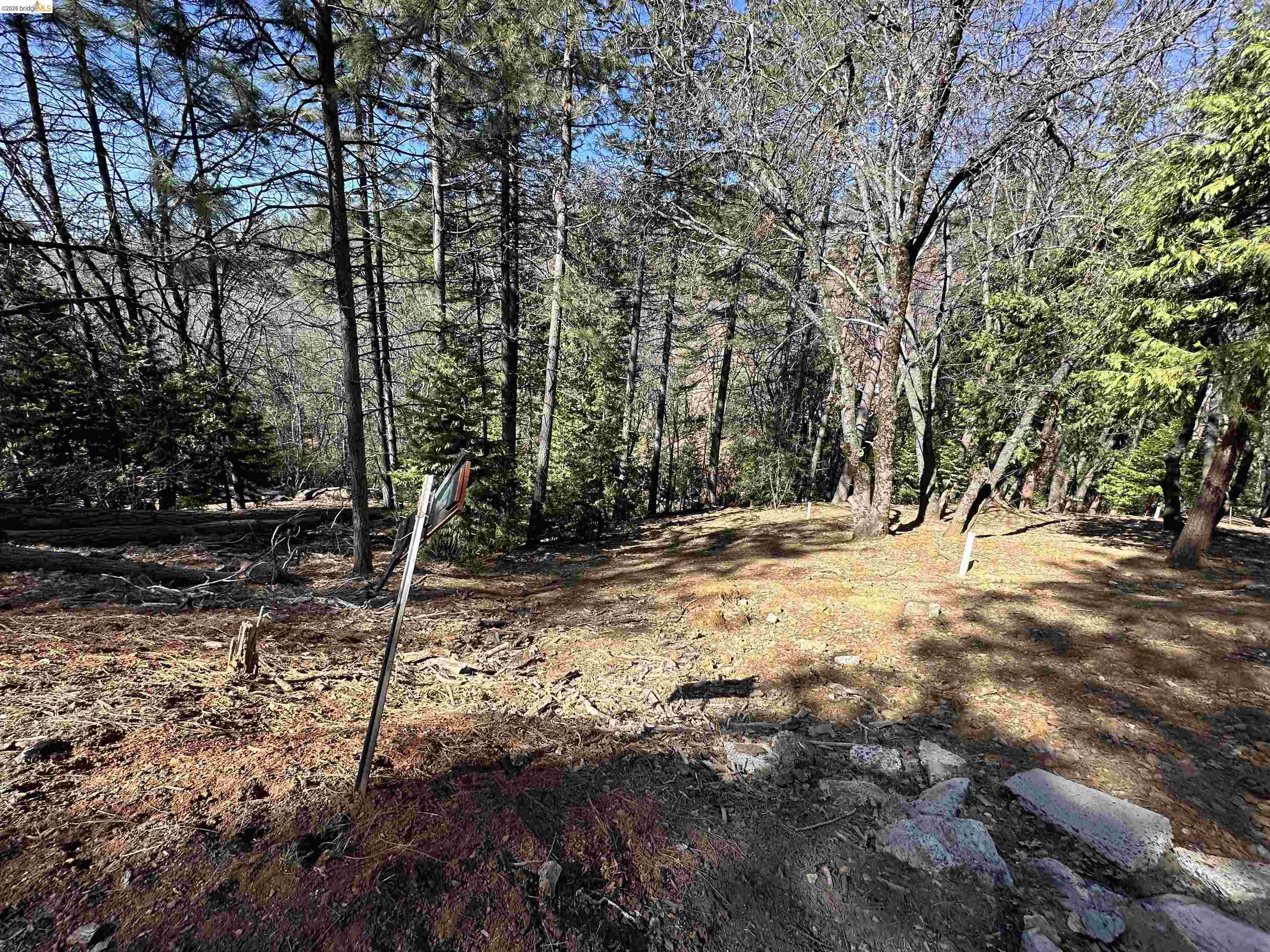 23956 Stable Road Sonora, CA 95370 - Photo 4 of 13 a view of backyard space with trees