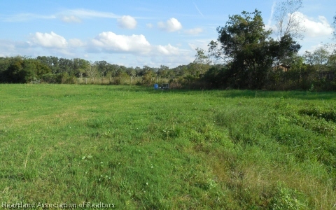 9700 Luther Beck Road Hastings, FL 32145 - Photo 19 of 20 a view of grassy field with trees