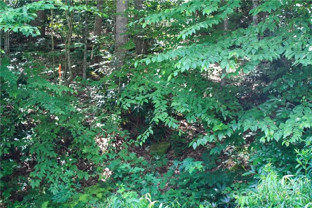 $80,000 | Tbd Greenyard Trail, Unit 2, Candler, NC 28715