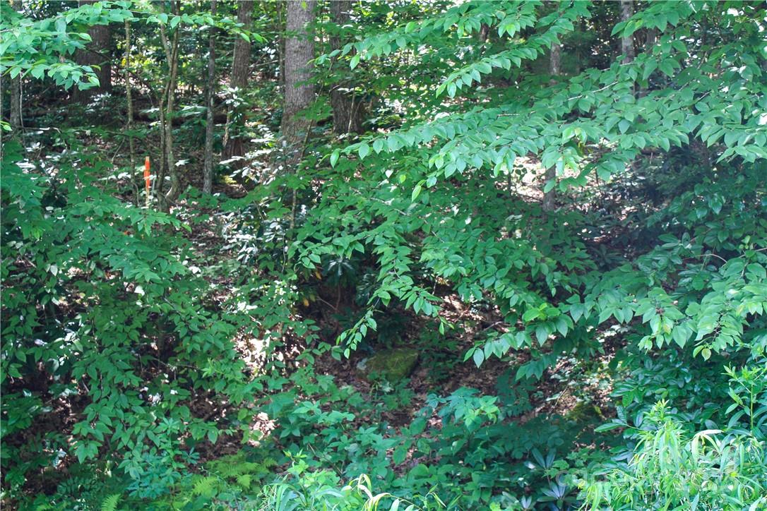 Tbd Greenyard Trail, Unit 2 Candler, NC 28715 - Photo 13 of 24