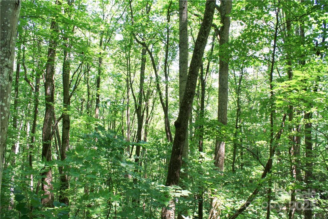 Tbd Greenyard Trail, Unit 2 Candler, NC 28715 - Photo 19 of 24