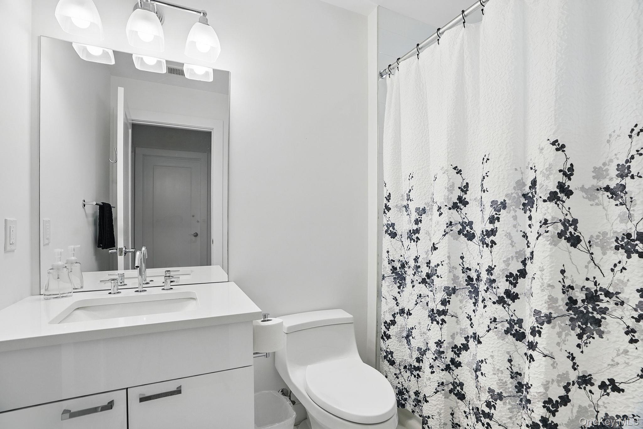 27 Lavender Lane Rye Brook, NY 10573 - Photo 19 of 33 a bathroom with a sink a toilet and shower curtain