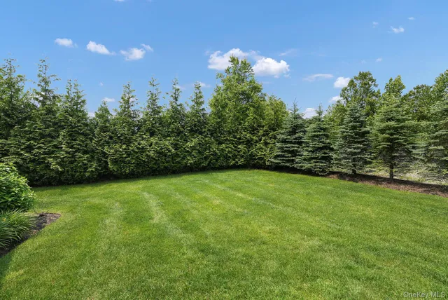 a view of a field with plants and trees in the background