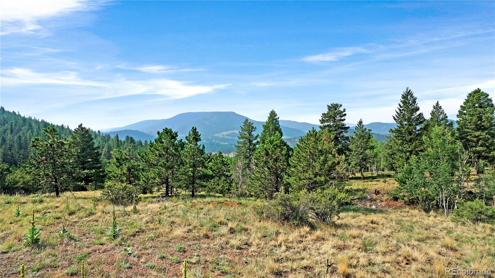 120 Rd P78 Bailey, CO 80421 - Photo 14 of 17 Gallery Image 14