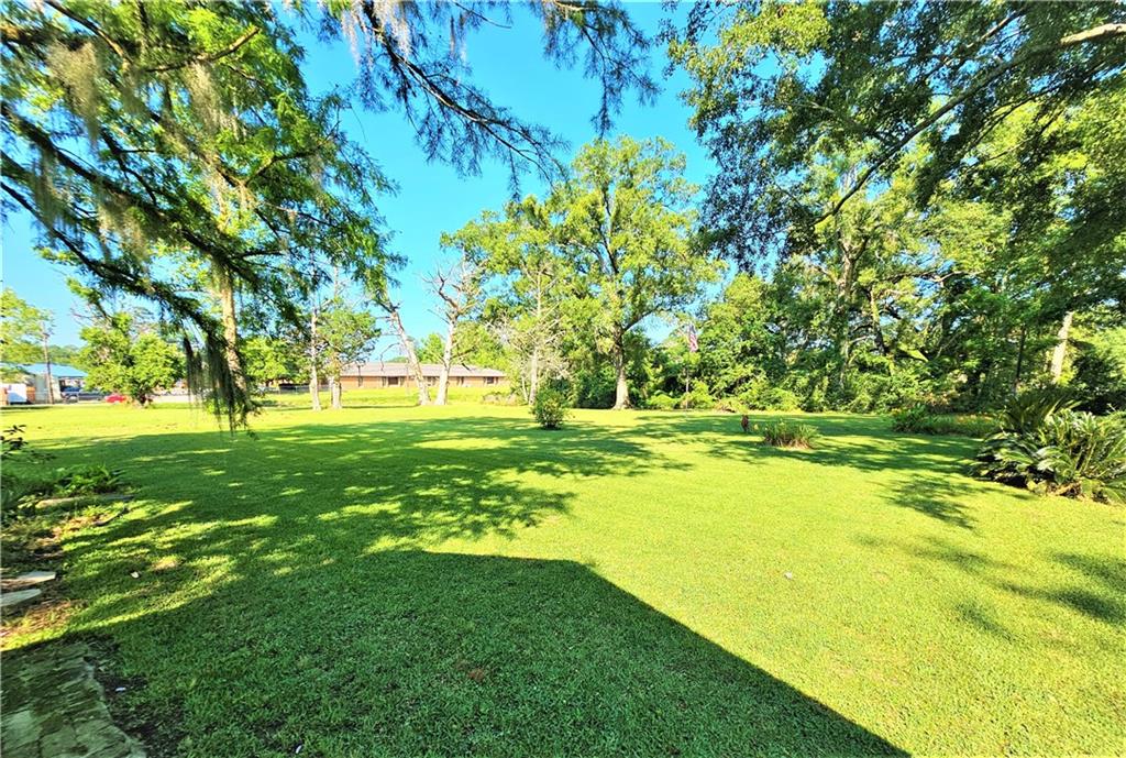 32040 2nd Street Springfield, LA 70462 - Photo 7 of 19