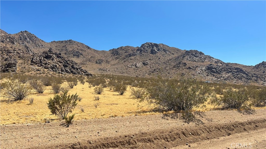 30455 Holmes Road Lucerne Valley, CA 92356 - Photo 6 of 11