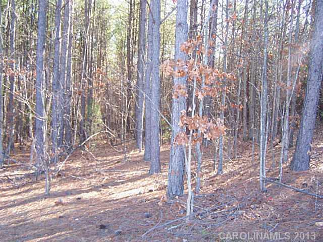 324 Summit Ridge Lane Denver, NC 28037 - Photo 3 of 8