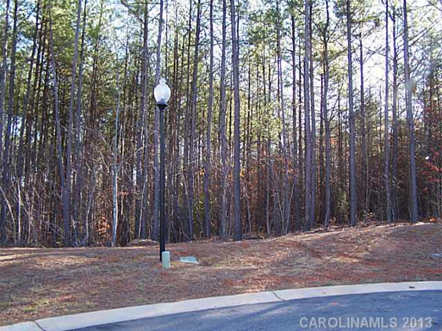 324 Summit Ridge Lane Denver, NC 28037 - Photo 4 of 8