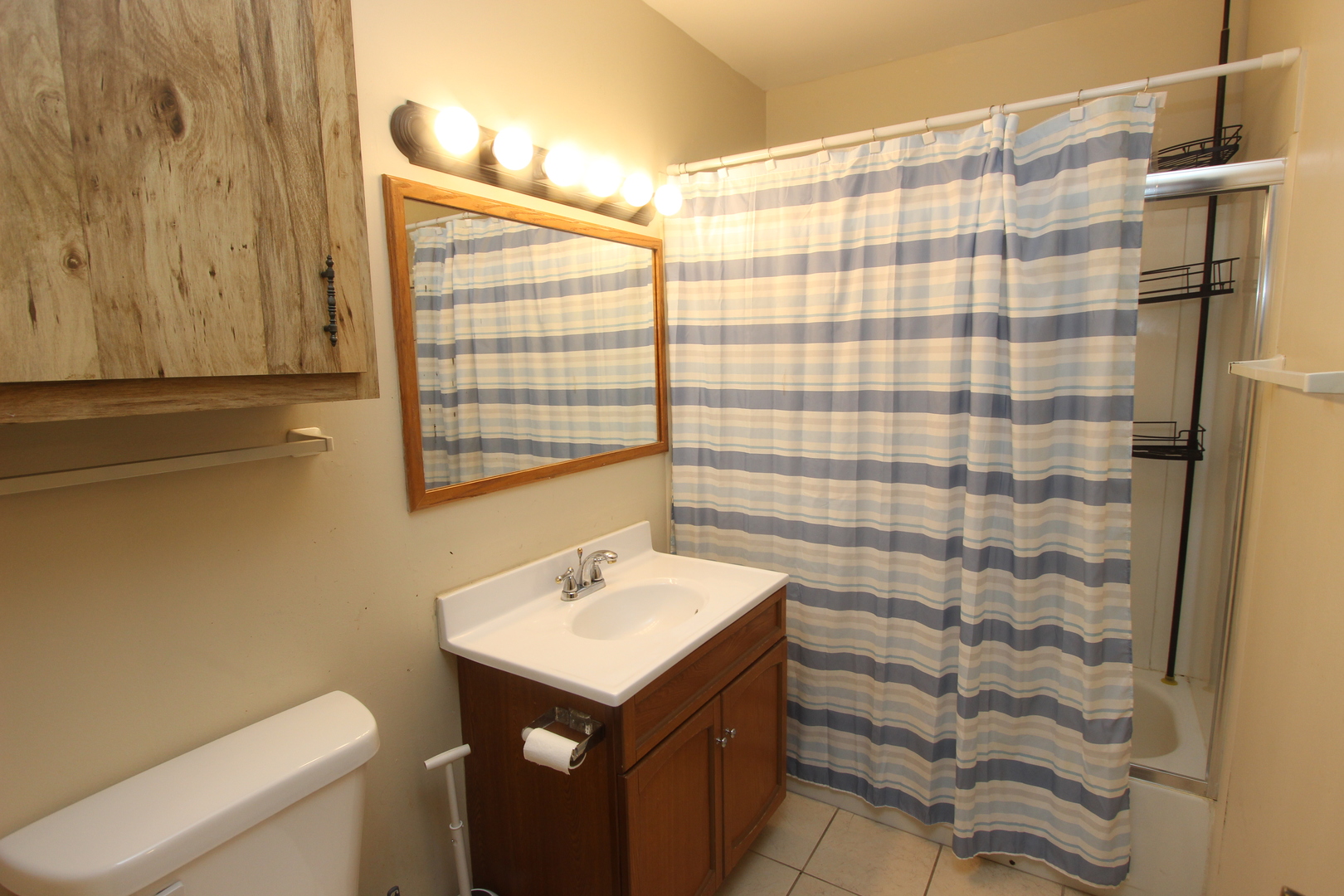 503 Plum Street Lake In The Hills, IL 60156 - Photo 11 of 20 a bathroom with a sink toilet and shower